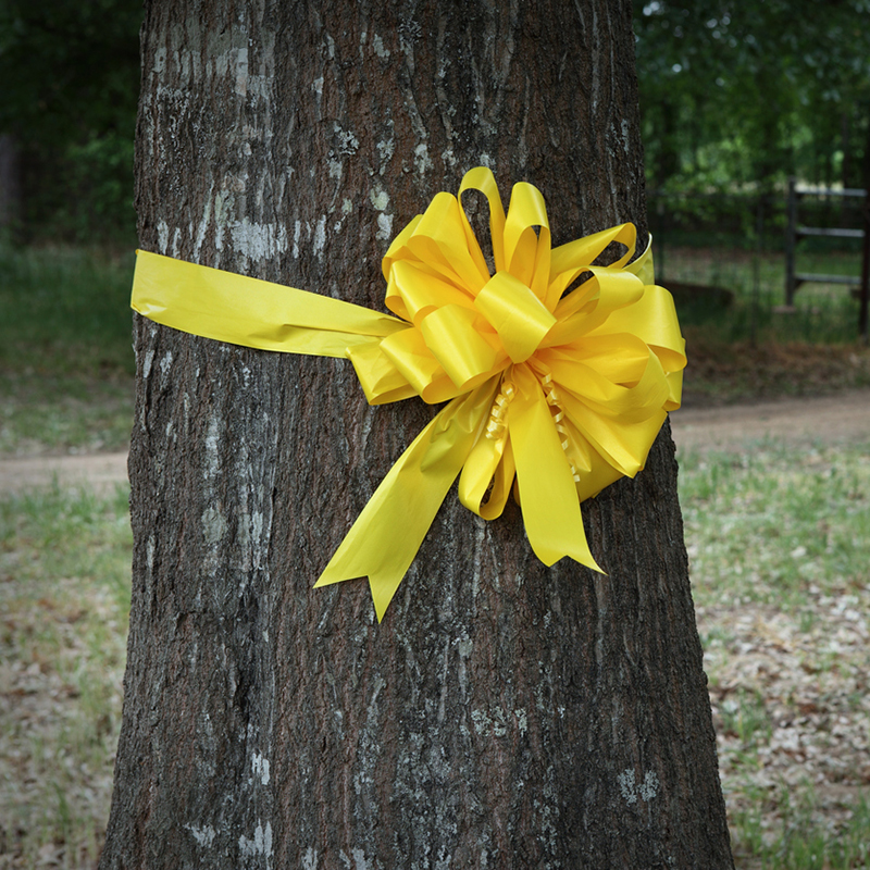 Tie a Yellow Ribbon Around The Ole Oak Tree By Lisa Tollard – Military  Veterans Museum